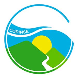 Codinse